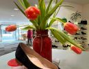 damenschuhe fruehling2023 schuhhaus werheit